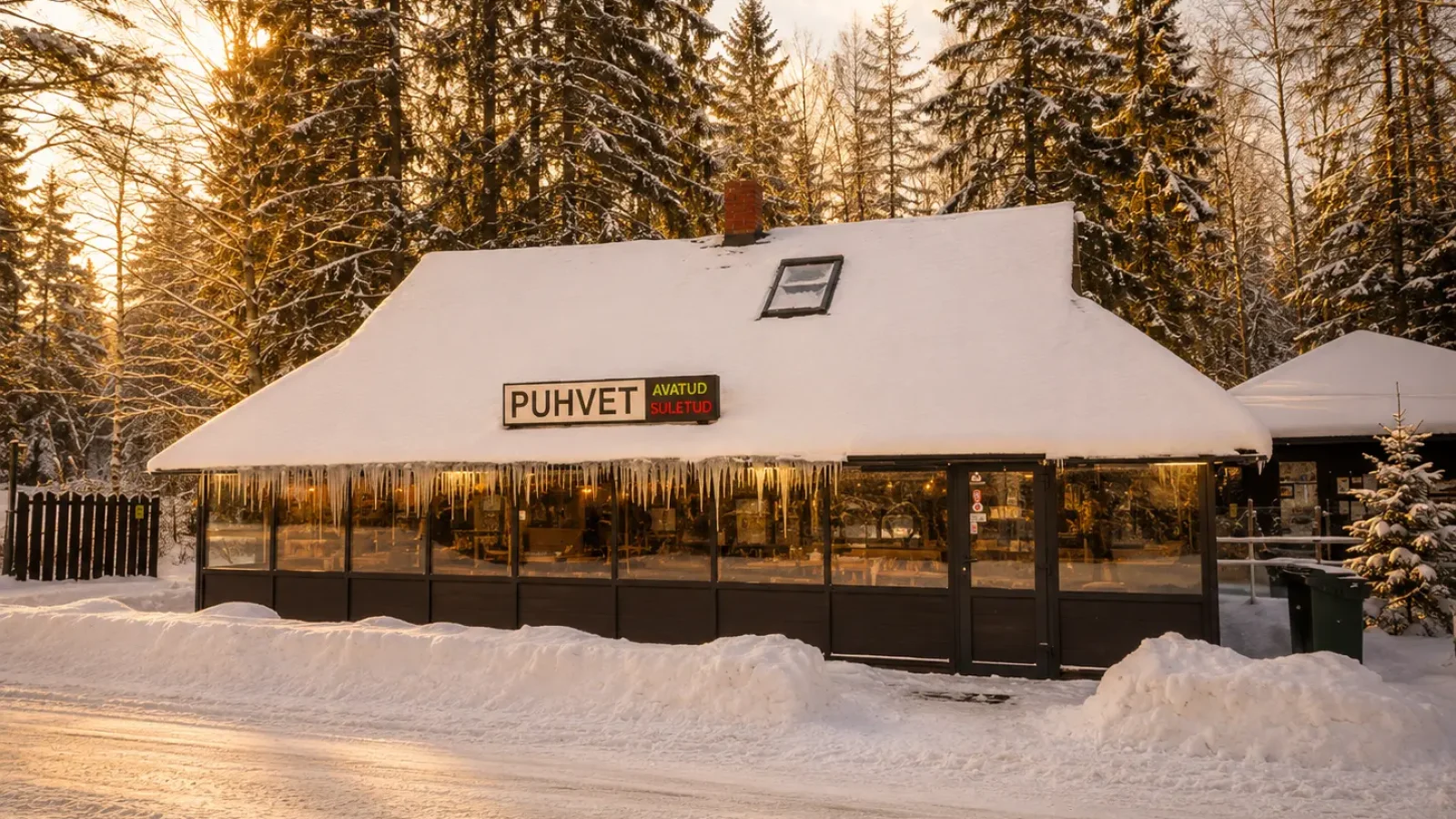 Puhvet_11